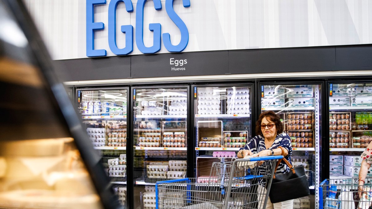 Egg prices tick up in US amid efforts to halt spread of bird flu | Food News