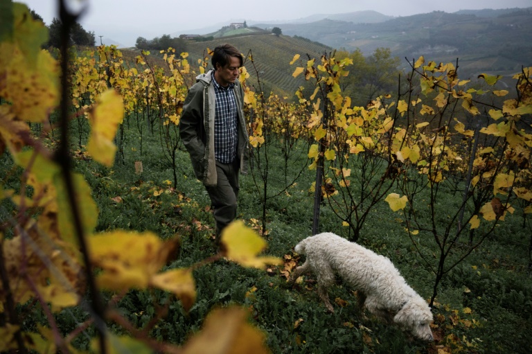 Introduced to truffle hunting at the age of five by a family friend, Carlo Marenda, 42, founded the "Save the Truffle" association in 2015 (MARCO BERTORELLO)