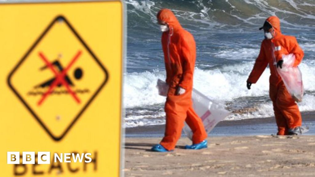 Sydney identifies objects that shut beaches