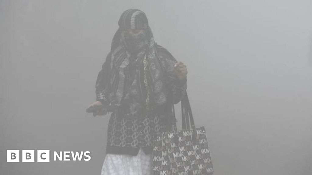 The families fleeing India's capital to escape deadly smog