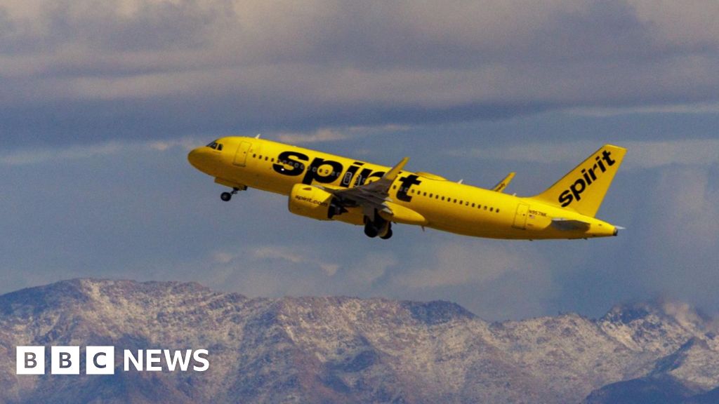 Airlines suspend flights as Spirit plane hit by gunfire