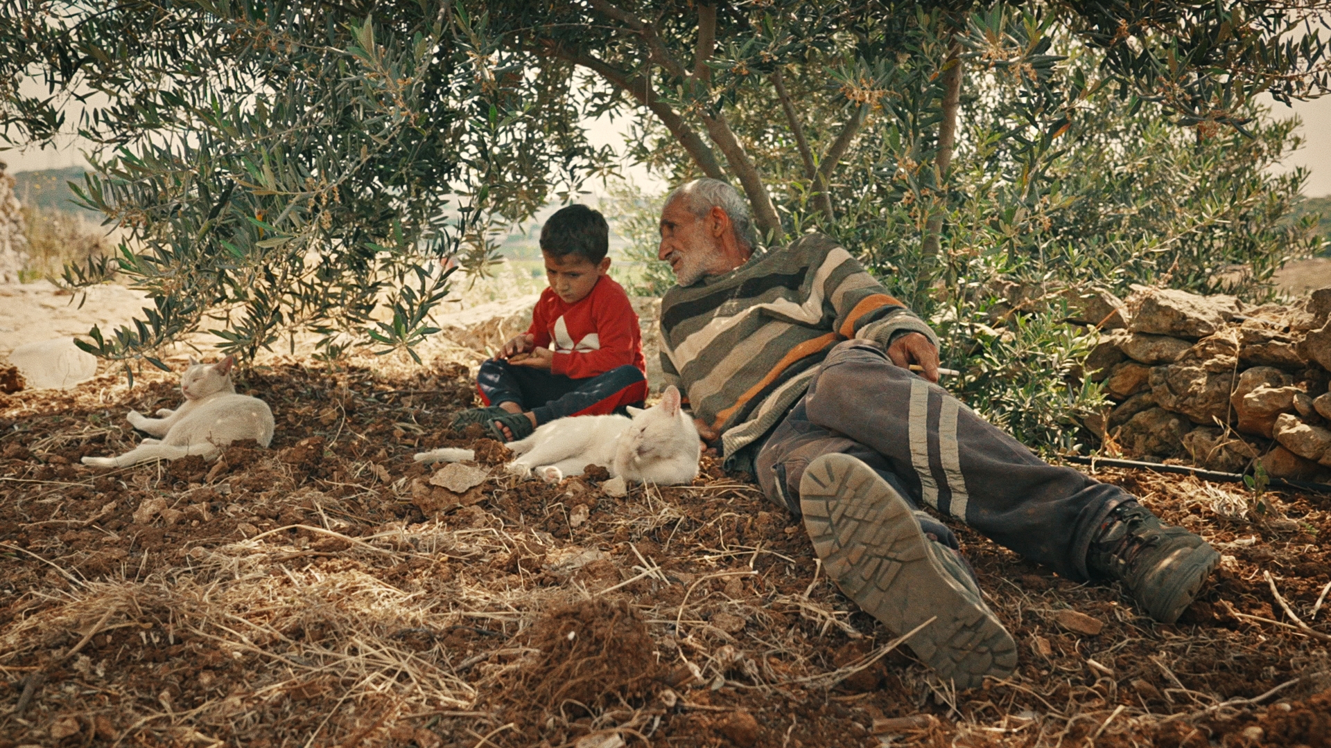 Rooted in the West Bank: 25 years of defying settler violence | Documentary