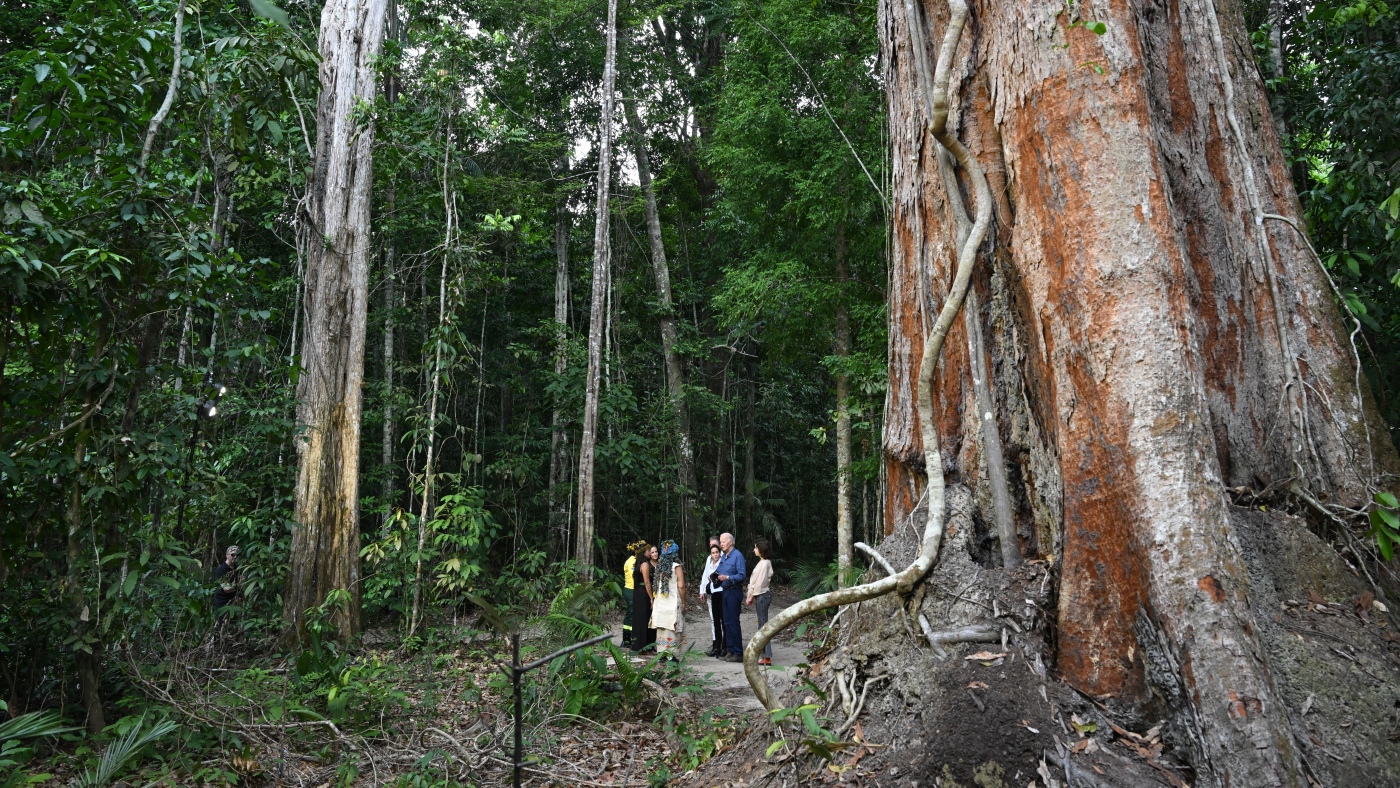 Biden is the 1st sitting U.S. president to visit the Amazon : NPR