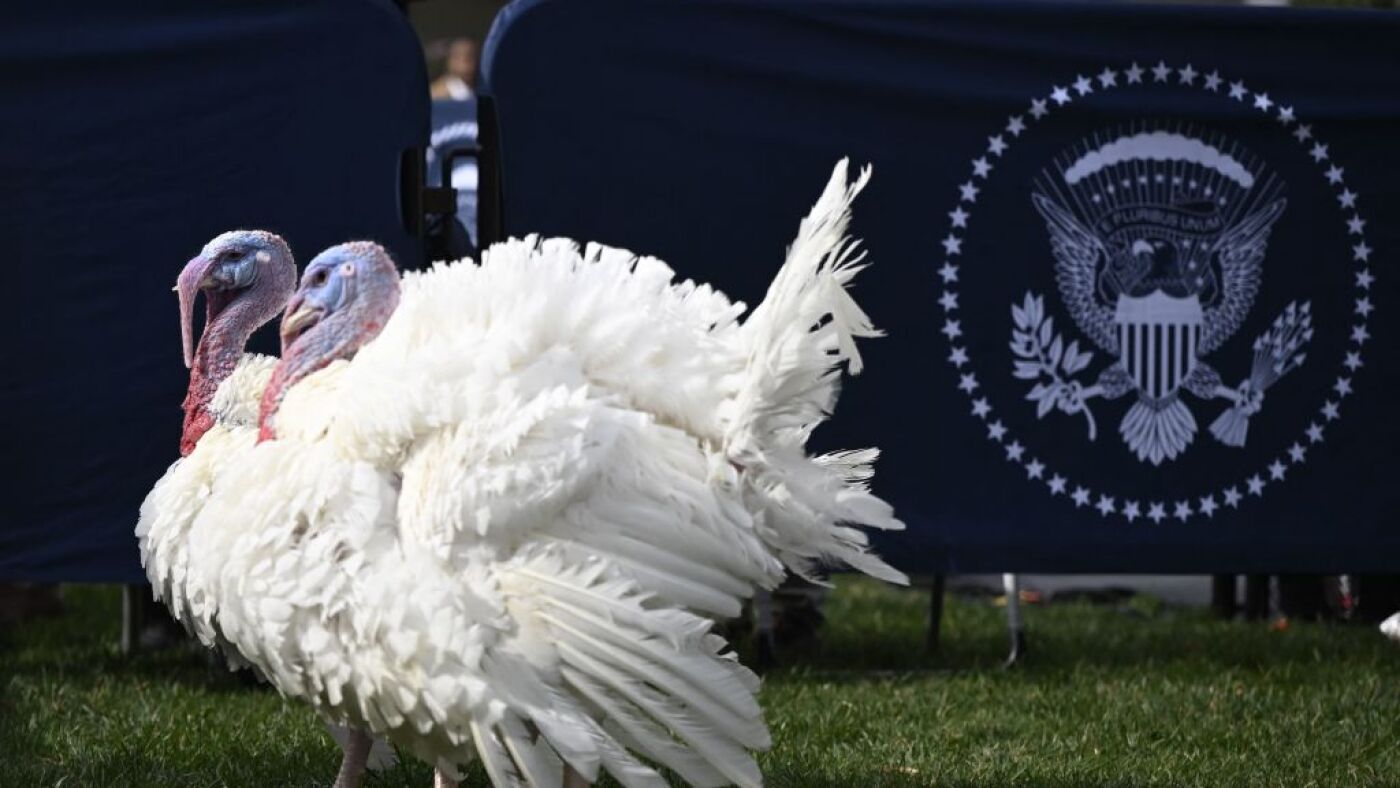 The history of turkey pardon, one of Washington's weirdest traditions : NPR